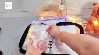 Trending Transparent Jewellery Storage Book 100 pocket  