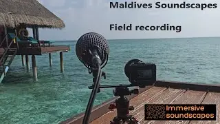 MALDIVES KAAFU ATOLL (WATER VILLA) - Field recording - High quality soundscape