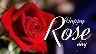 Happy Rose Day Whatsapp Status/ Happy Rose day 2020/ 7th Feb Rose Day Whatsapp Status video/#roseday