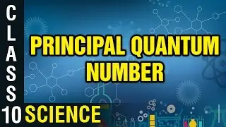 Principal Quantum Number| Class 10 Chemistry | Science | Digital Teacher