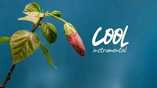 New Tigrigna Classical Music- Instrumental -2018- ትግርኛ ክላሲካል- Eritrea Cover Music 