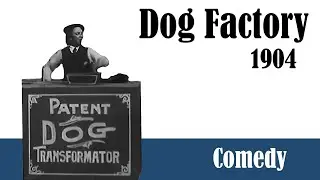 1904 - Dog Factory | Silent American Comedy | Edwin S. Porter | Thomas Edison | REMASTERED