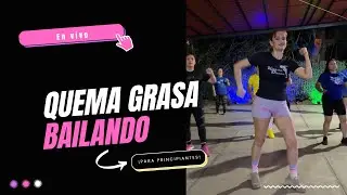 CLASES EN VIVO