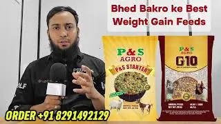 Bakro ki Tayyari karo zor se | Try P&S Agro Premium Mix Feeds