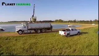 Asian Catfish Farming Catfish Breeding and Harvesting Modern Agriculture