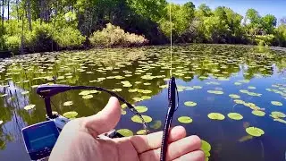 Fishing for Bass in HEAVY COVER! - The BEST Baits to Use!