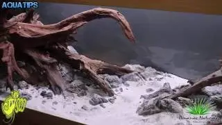 Montaje 720L aquascaping, Acuarios Naturales en Don Disco #2 || AquaTips