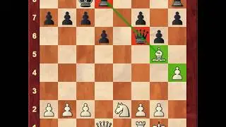 Chess - Skewers