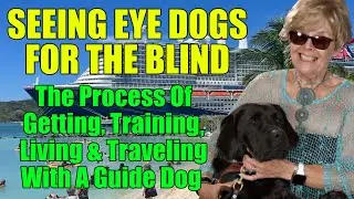 Guide Dogs for the Blind - How To Get, Train and Travel with a Seeing Eye Dog