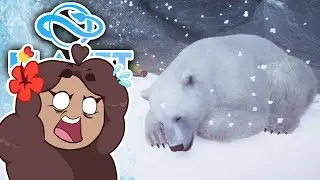Don't Mix Your Penguins with POLAR BEARS!! 🐧 Planet Zoo: Ice Ice Outpost 2! &bull; #11