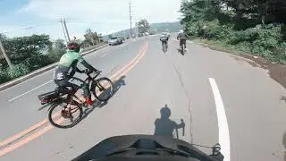 TAAL LOOP