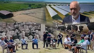 Rama po përzë Semanin e Ri për panele diellore/“Mijëra bagëti do i therim se nuk do ketë më ushqim”