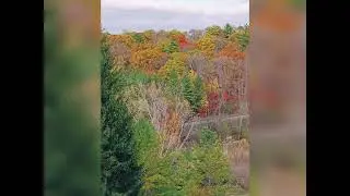 Beautifulvalley#rougenationalurbanpark #fallcolours 🍁🍂🍂🍁
