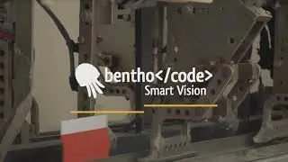 Servicios 2021 Benthocode