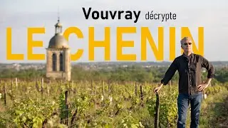 Vouvray d&eacute;crypte : Le Chenin