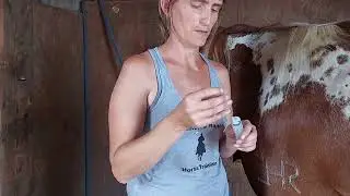 Giving a Penicillin shot directed by a vet