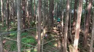 Chase 7 years old on zip-line in Alaska