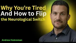 Why You&rsquo;re Tired &ndash; And How to Flip the Neurological Switch