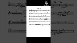Amor ciego mariachi los camperos violin 1 #musica #mariachi #music #violines #violinista