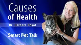 Causes of Health with Guest Dr. Barbara Royal