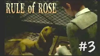 [RULE of ROSE] #3 Brown Dog
