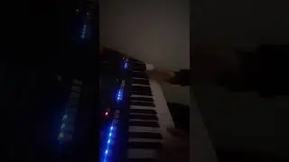 A chi ti rivolgi , Yamaha PSR SX 600