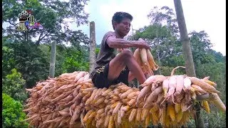RURAL LIFE IN SIKKIM, INDIA  ||  Part - 40