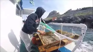 Underwater excavation and mapping of Modi Bronze age shipwreck