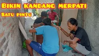 Bikin kandang merpati