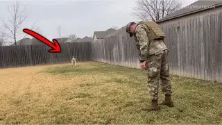 😭 Silent Standoff&hellip; Then the Dog Loses Control When Soldier Comes Home!