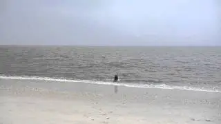 A Day at Broadkill Beach