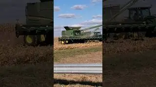 CORN HARVEST 🌽 16 ROW CORN HEAD   #CORNHARVEST23