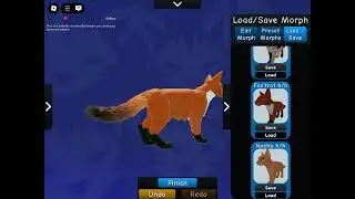 Showing all my morphs in warrior cats