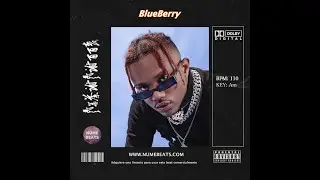 BLUEBERRY | Polima Westcoast x Young Cister | House Type Beat 2023