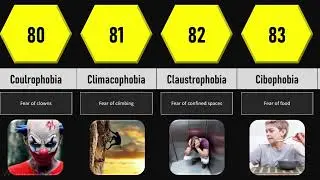Probability Comparison Phobias and Fears