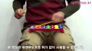 Halilit 온음계 글로켄슈필MX2008