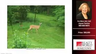 Condo For Sale Simsbury CT Real Estate $99000 2-Bdrms