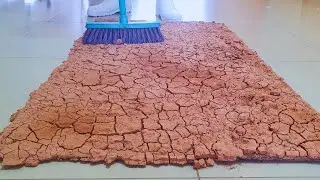 You've never seen a carpet so dirty/full of terrible mud -ASMR Rug cleaning - New version