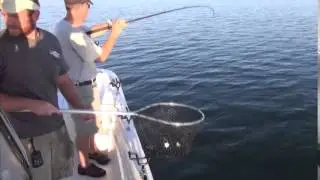 ClarksHillLateSummerStripers