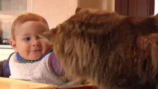 TOMMY E I SUOI ANIMALI