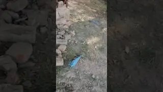 Bacho ki mauj baderi