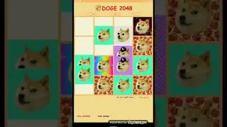 Dog 2048.