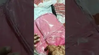 makeup/vanity bag from meeho under 200/- #meesho #makeupbag #trending #viral #lifeofniku #goa