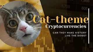 Crypto: What cat-themed coin are currently looking like