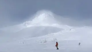 Powder Hounds Advertisement