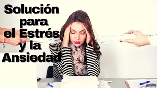 ¿Cómo calmar el estrés en tiempos de crisis? ¿Cuáles son las causas del estrés?