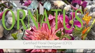Certified Floral Designer (CFD) - Intensive Course