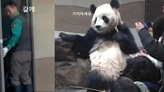 세컨하우스 1월16일 당근 🥕 주고 가세요! 그냥 가지 마세요!! 할비