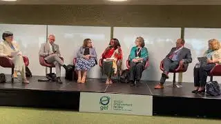 Dr Musonda Mumba message at the Global Environment Facility (GEF) Side Event (BRS2025)
