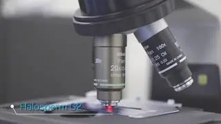 Halosperm G2 N.I.C IVF Clinic